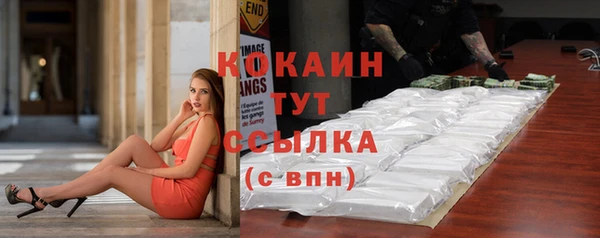 mdpv Богородицк