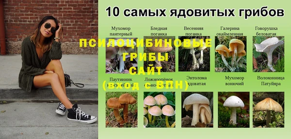 экстази Беломорск