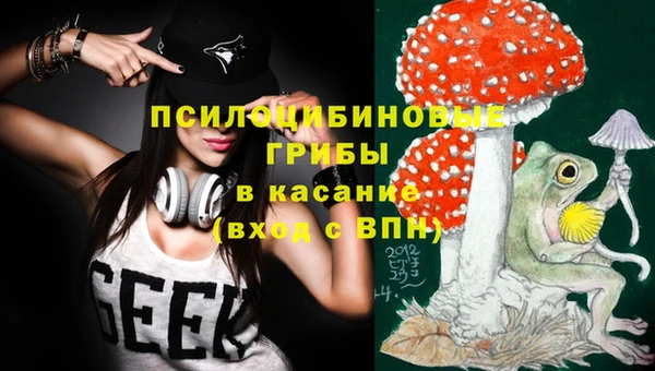 гашик Гусиноозёрск