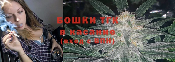 гидра Богданович