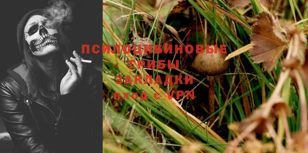 шишки Гусев