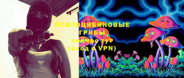гидра Богданович
