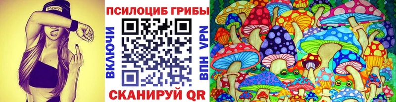 Псилоцибиновые грибы Magic Shrooms  блэк спрут ТОР  Мышкин 